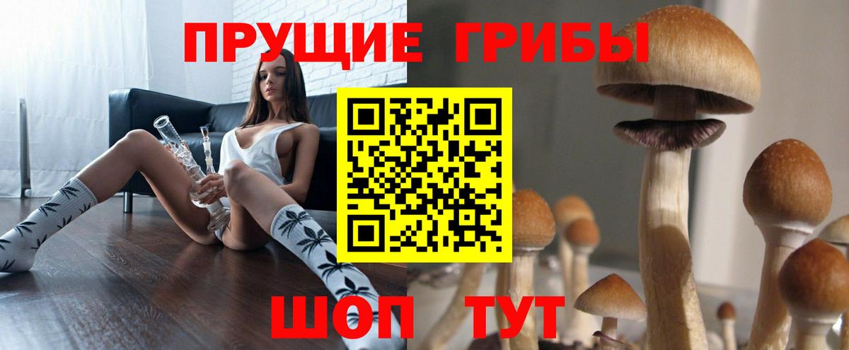 Мичуринск  Галлюциногенные грибы GOLDEN TEACHER  Вход с VPN  Галлюциногенные грибы Psilocybe 